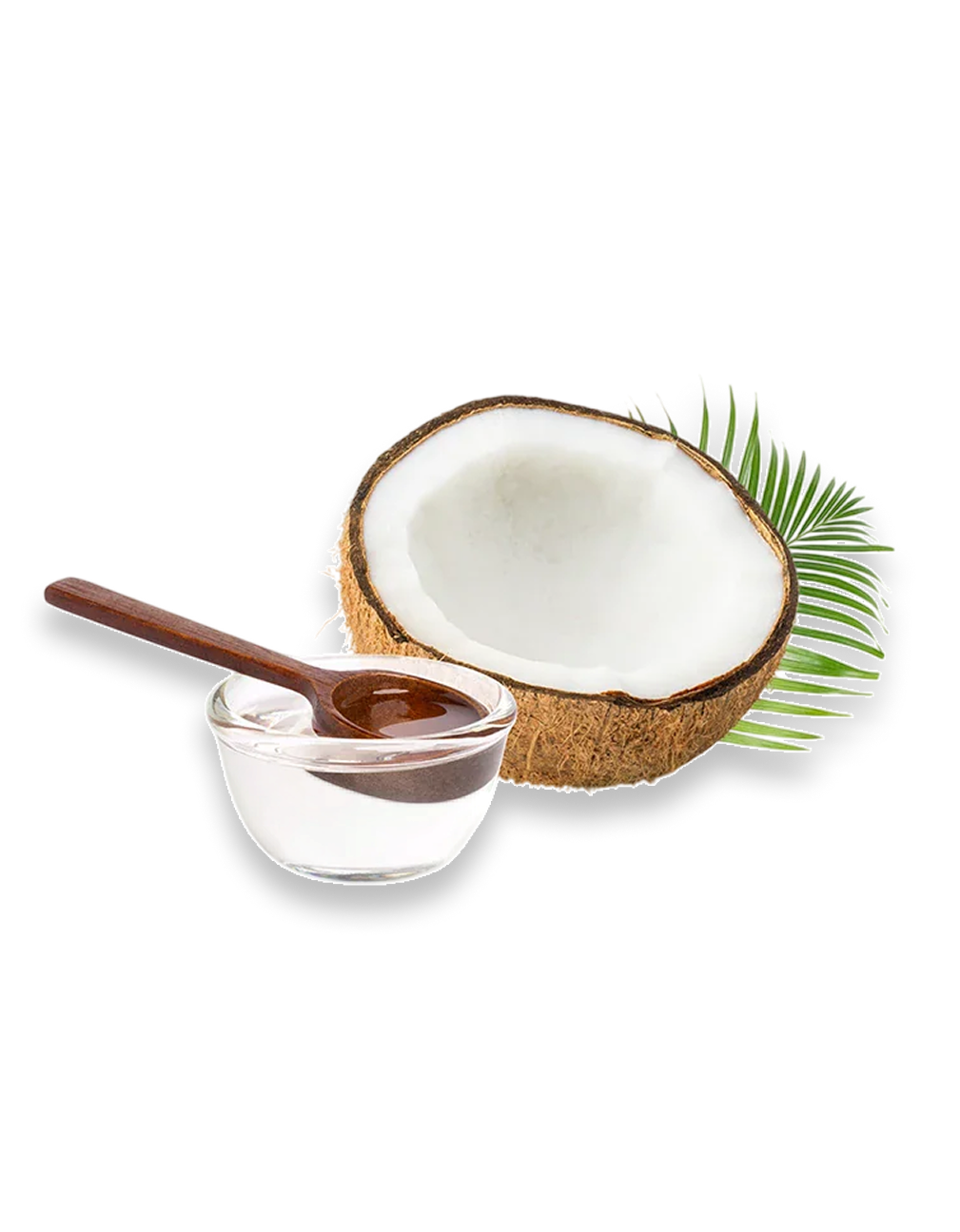 Coconut Oil